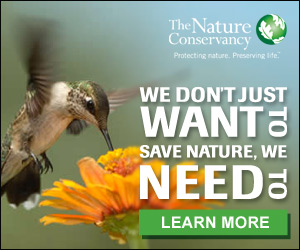 The Nature Conservancy